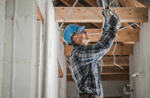 Best Electric Panel Repair  in Pleasant Prairie, WI